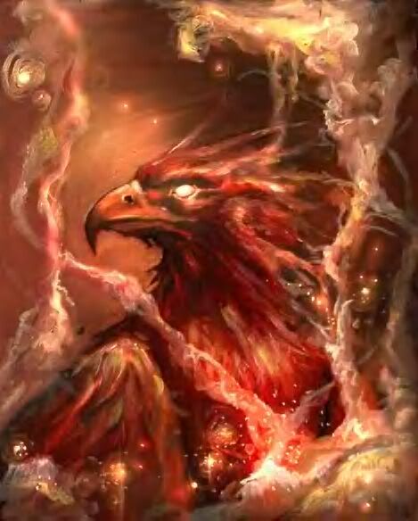 FIRE BIRD OF PREY Pictures, Images and Photos